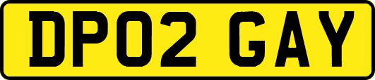 DP02GAY