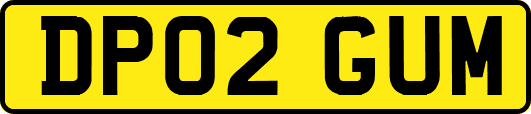 DP02GUM