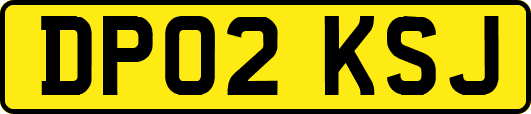 DP02KSJ