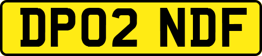 DP02NDF