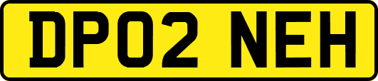 DP02NEH