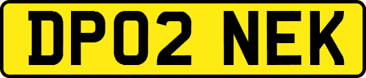 DP02NEK
