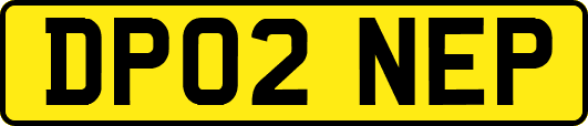 DP02NEP