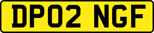 DP02NGF