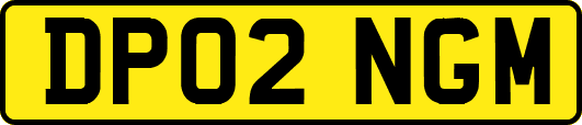 DP02NGM