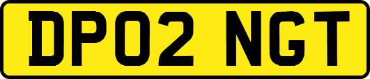 DP02NGT
