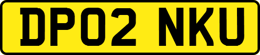 DP02NKU
