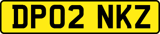 DP02NKZ