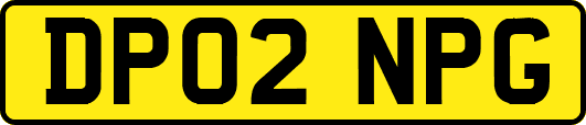 DP02NPG