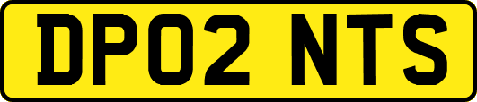 DP02NTS