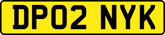 DP02NYK