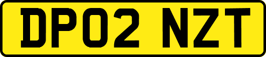 DP02NZT
