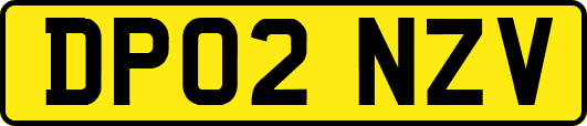 DP02NZV