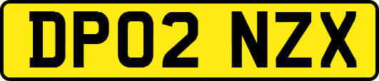 DP02NZX