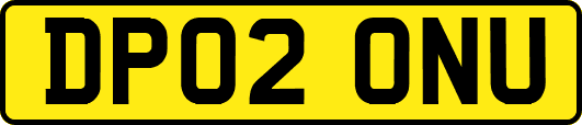 DP02ONU