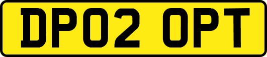 DP02OPT