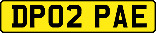 DP02PAE