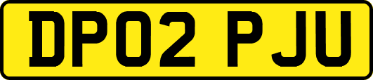 DP02PJU