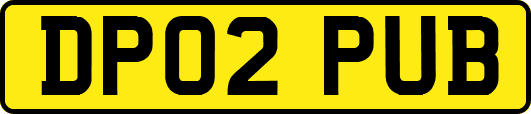 DP02PUB