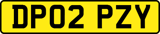 DP02PZY
