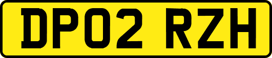 DP02RZH
