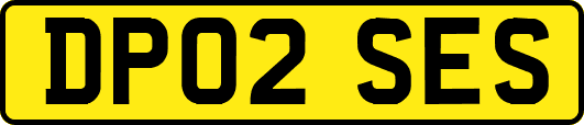 DP02SES
