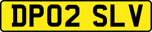 DP02SLV