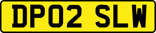 DP02SLW