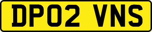DP02VNS