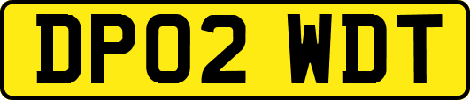 DP02WDT