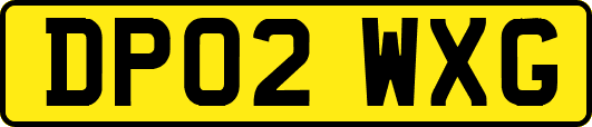 DP02WXG