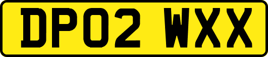 DP02WXX