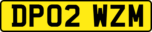 DP02WZM