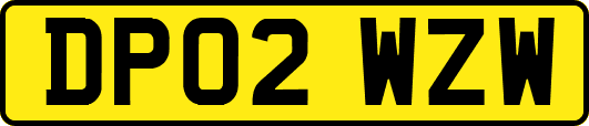 DP02WZW