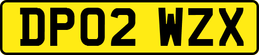 DP02WZX