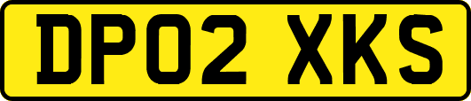 DP02XKS