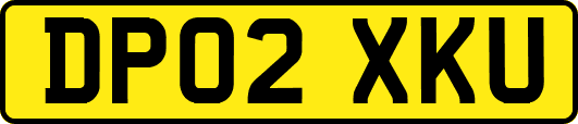 DP02XKU