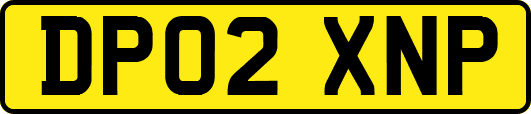 DP02XNP