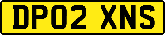 DP02XNS