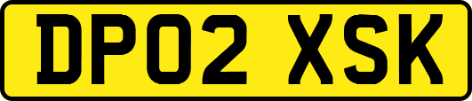 DP02XSK