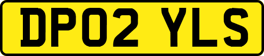 DP02YLS