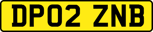 DP02ZNB