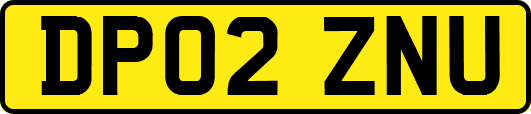 DP02ZNU