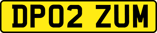 DP02ZUM