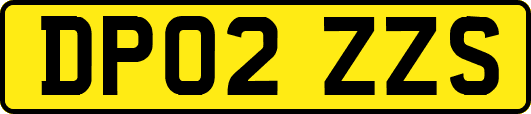 DP02ZZS