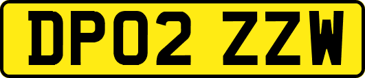 DP02ZZW