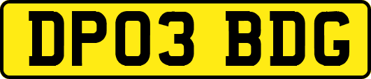 DP03BDG
