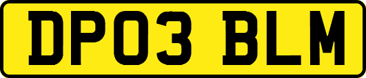 DP03BLM