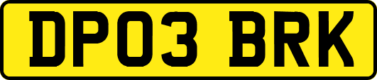 DP03BRK