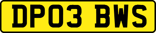 DP03BWS